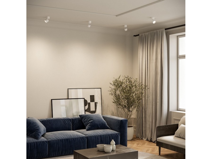 Накладной светильник Elektrostandard Rolly a067486