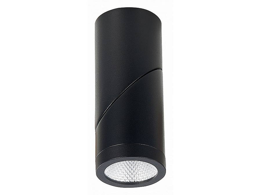 Светильник на штанге ST-Luce ST650 ST650.442.10