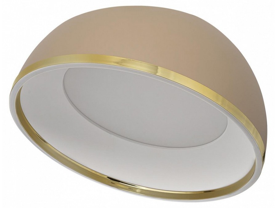 Накладной светильник Citilux FLOOM CL736152