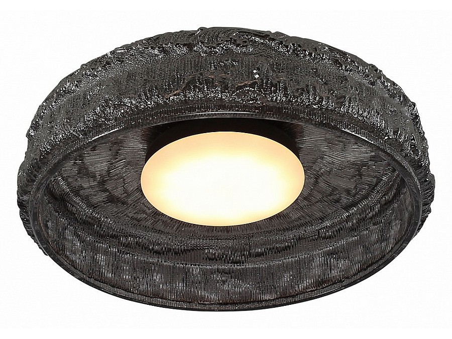 Накладной светильник ST-Luce ANTIKE SL6143.412.01