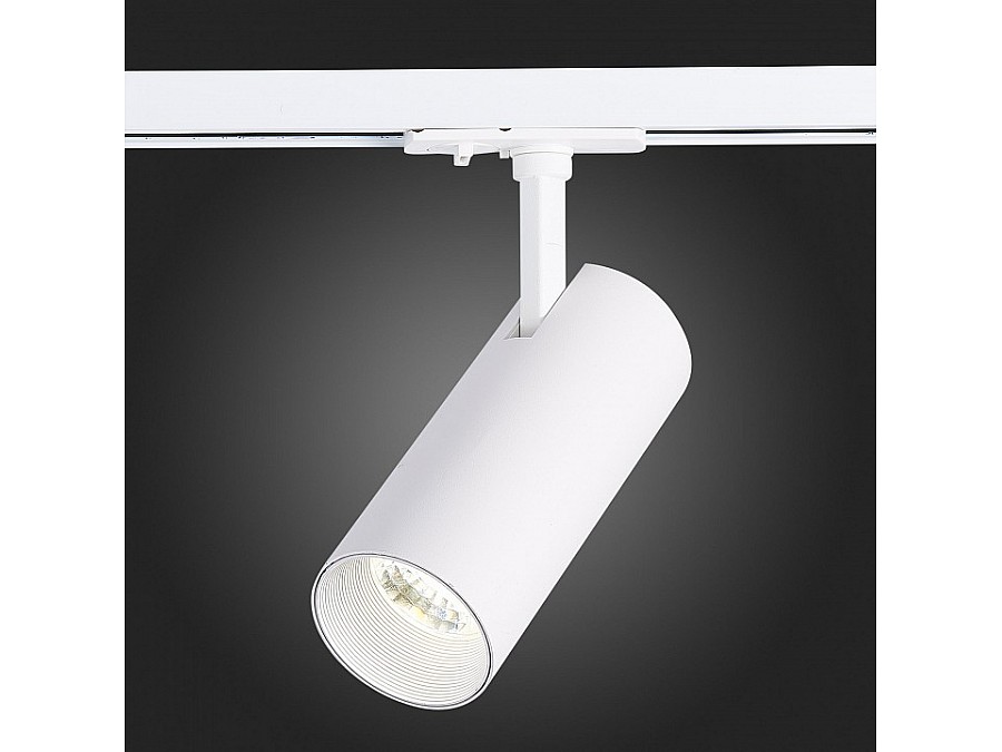 Светильник на штанге ST-Luce Mono ST350.536.20.36