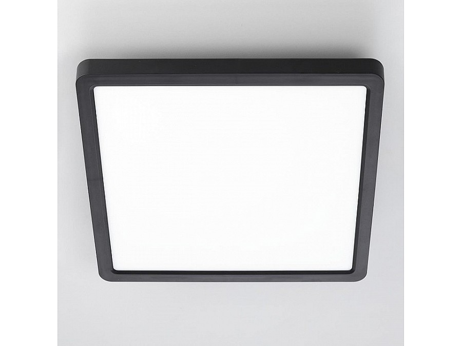 Накладной светильник Citilux Бейсик CL738K241V