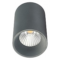 Накладной светильник Escada 20003 20003SMU/01LED SGY