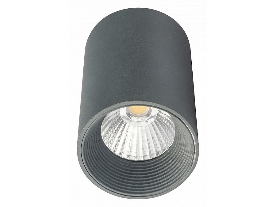 Накладной светильник Escada 20003 20003SMU/01LED SGY