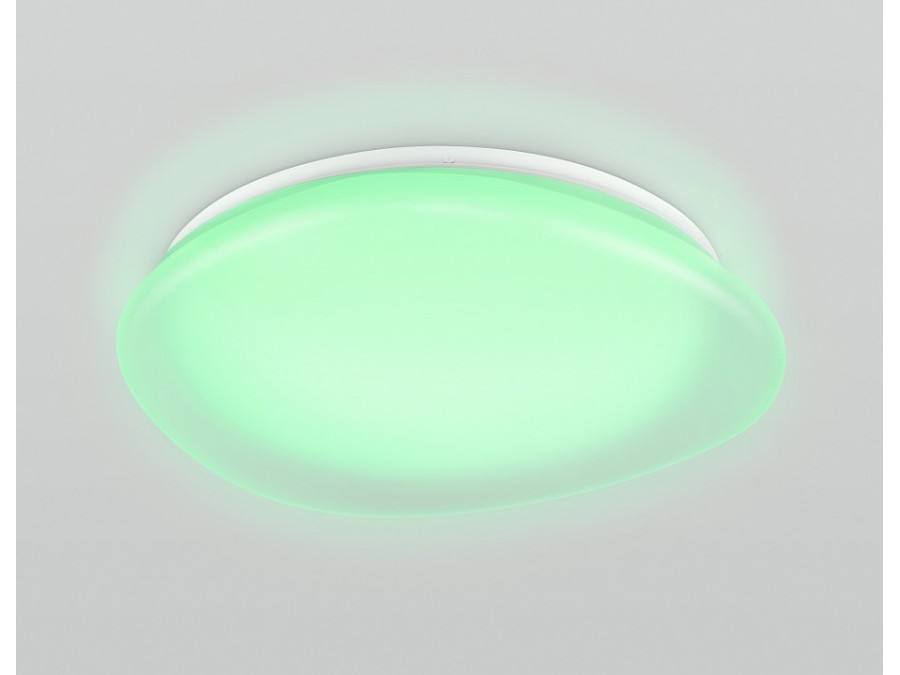 Накладной светильник Ambrella Light ORBITAL FZ1610