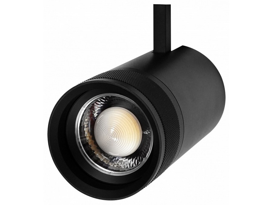 Светильник на штанге Lightstar Canno Pro 304407