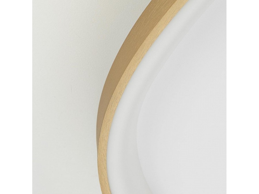 Накладной светильник Citilux GENKA SMART CL756A162