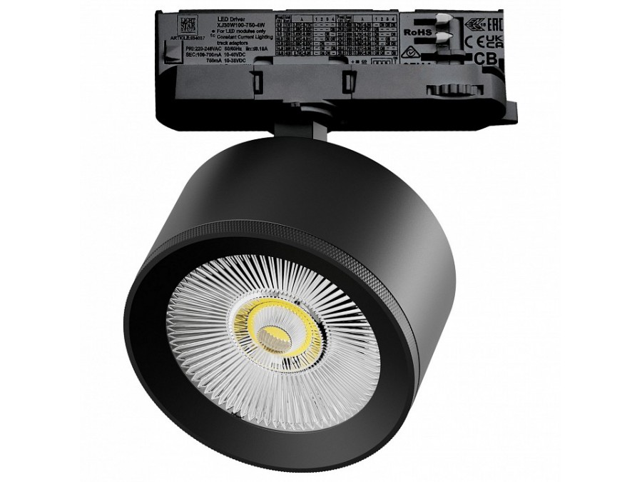 Светильник на штанге Lightstar Alta Pro A5547QT