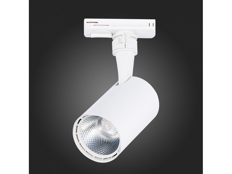 Светильник на штанге ST-Luce Cami ST351.536.10.24