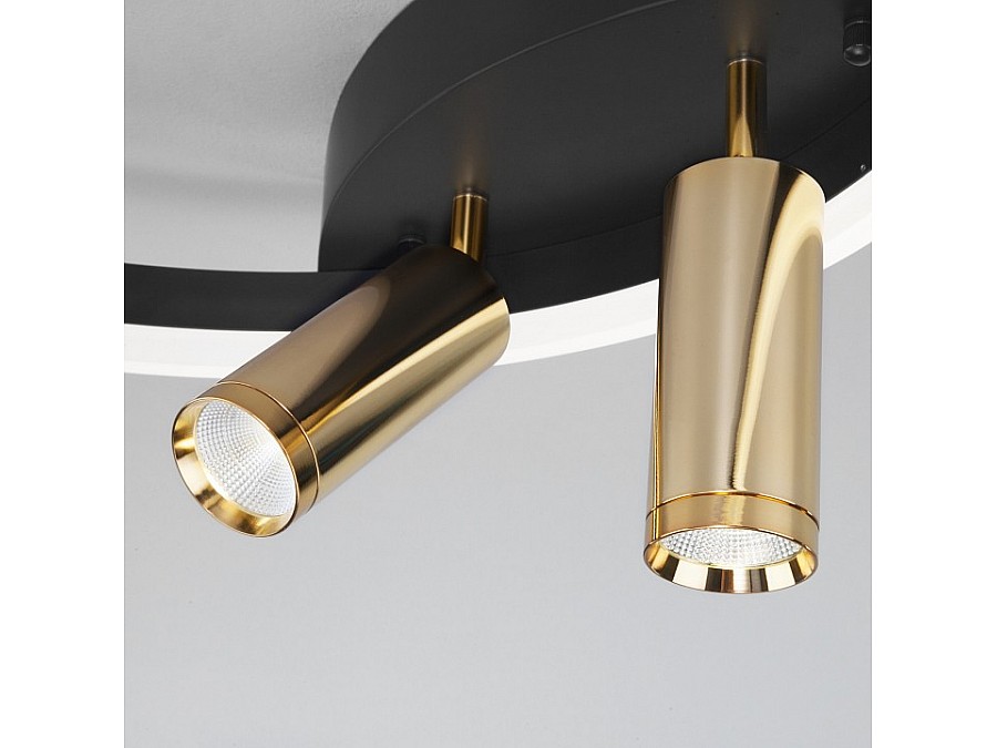 Накладной светильник Eurosvet Luminari 90247/3 черный/золото Smart