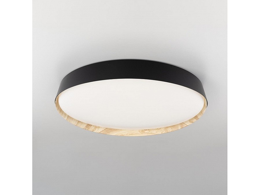 Накладной светильник Citilux BONNY CL754451G