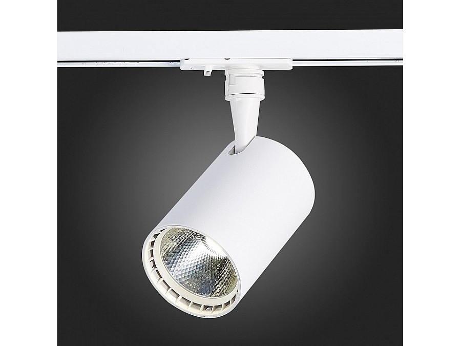 Светильник на штанге ST-Luce Cami ST351.536.15.24