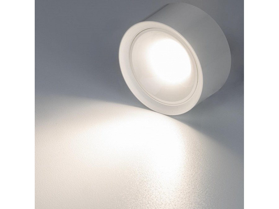 Накладной светильник Citilux Rover CL743060N