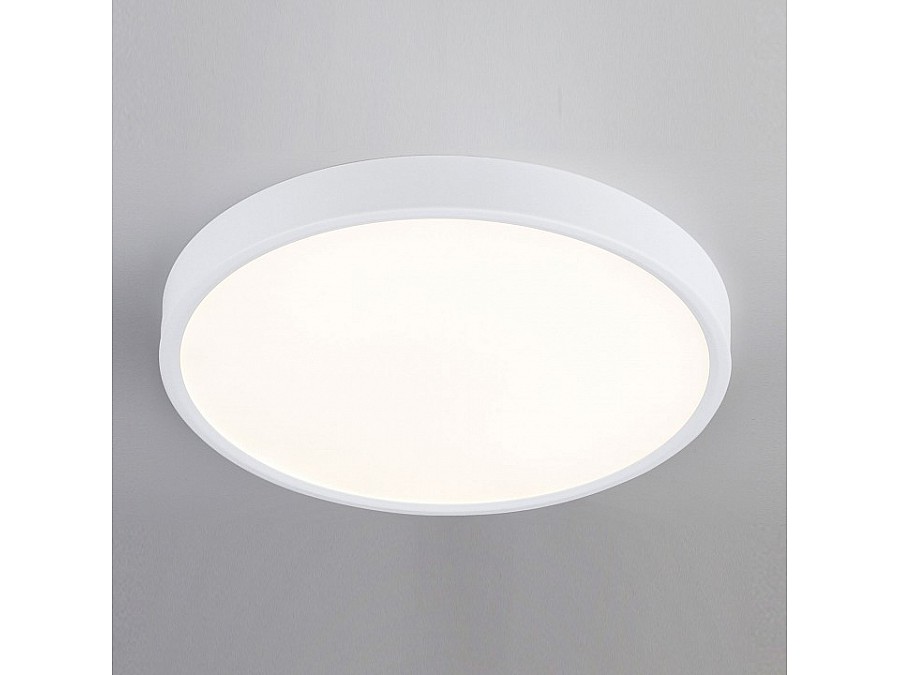 Накладной светильник Elektrostandard DLR034 a043016