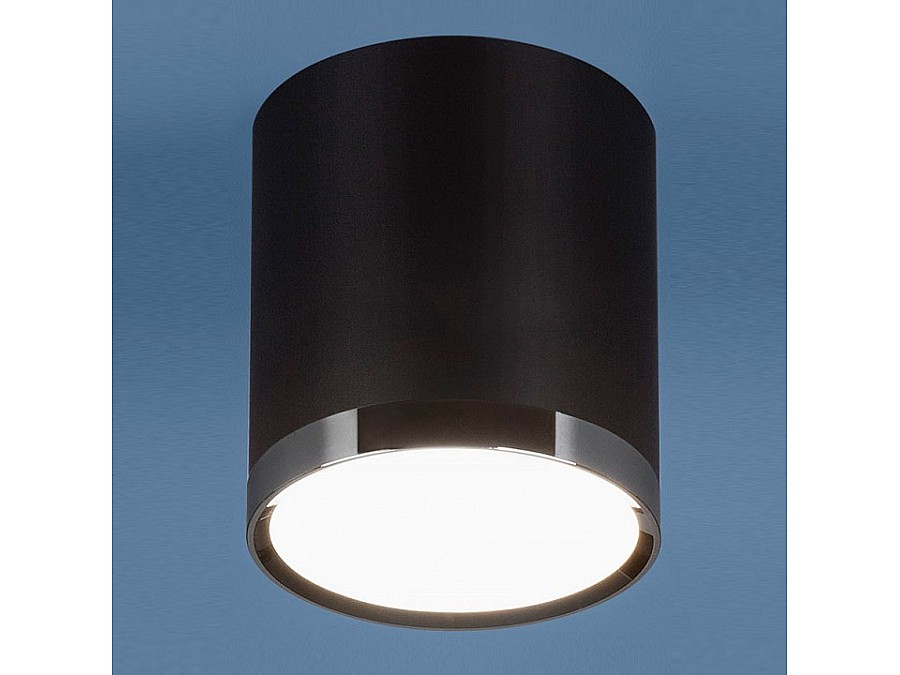 Накладной светильник Elektrostandard DLR024 a039018