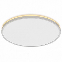 Накладной светильник Citilux Norma CL748500