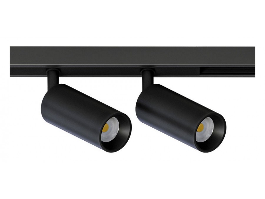 Светильник на штанге Arte Lamp Optima A7260PL-2BK