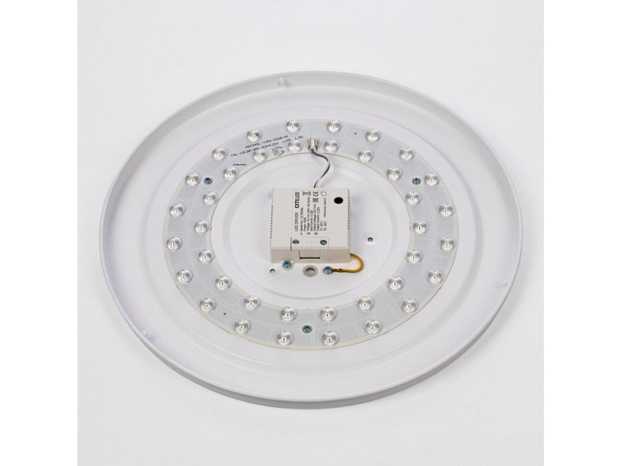 Накладной светильник Citilux BART CL755390