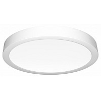 Накладной светильник Citilux Галс CL5522N