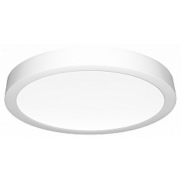 Накладной светильник Citilux Галс CL5522N