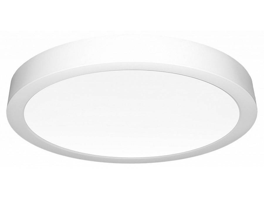 Накладной светильник Citilux Галс CL5522N