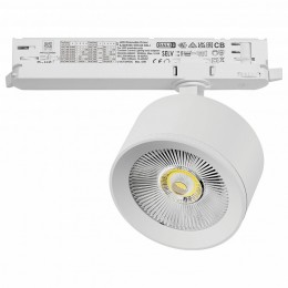 Светильник на штанге Lightstar Alta Pro A5536DALI