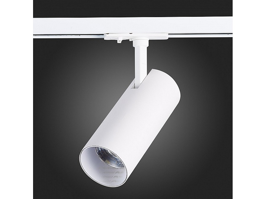 Светильник на штанге ST-Luce Mono ST350.546.20.36