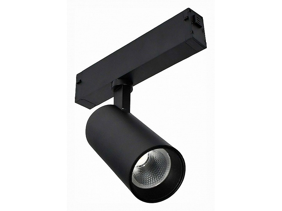 Светильник на штанге ST-Luce Skyline 220 ST660.436.10