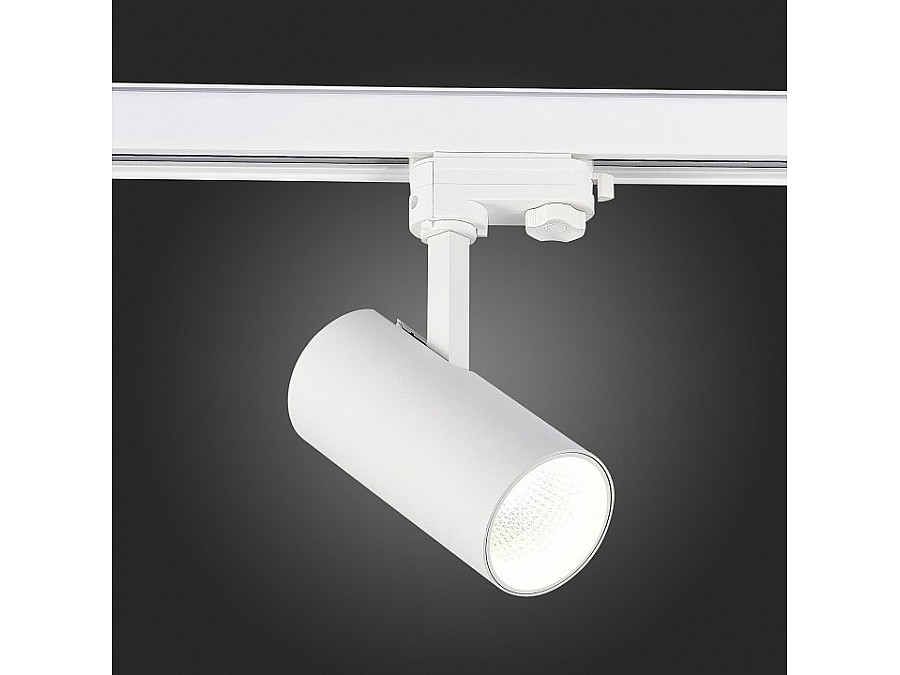 Светильник на штанге ST-Luce ST661 ST661.546.20