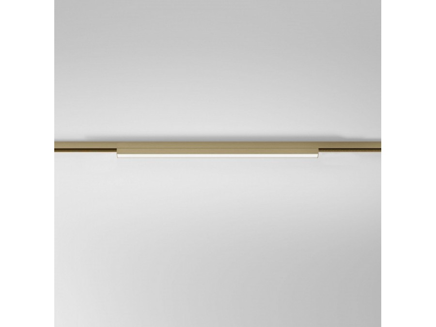 Накладной светильник Elektrostandard  85527/01