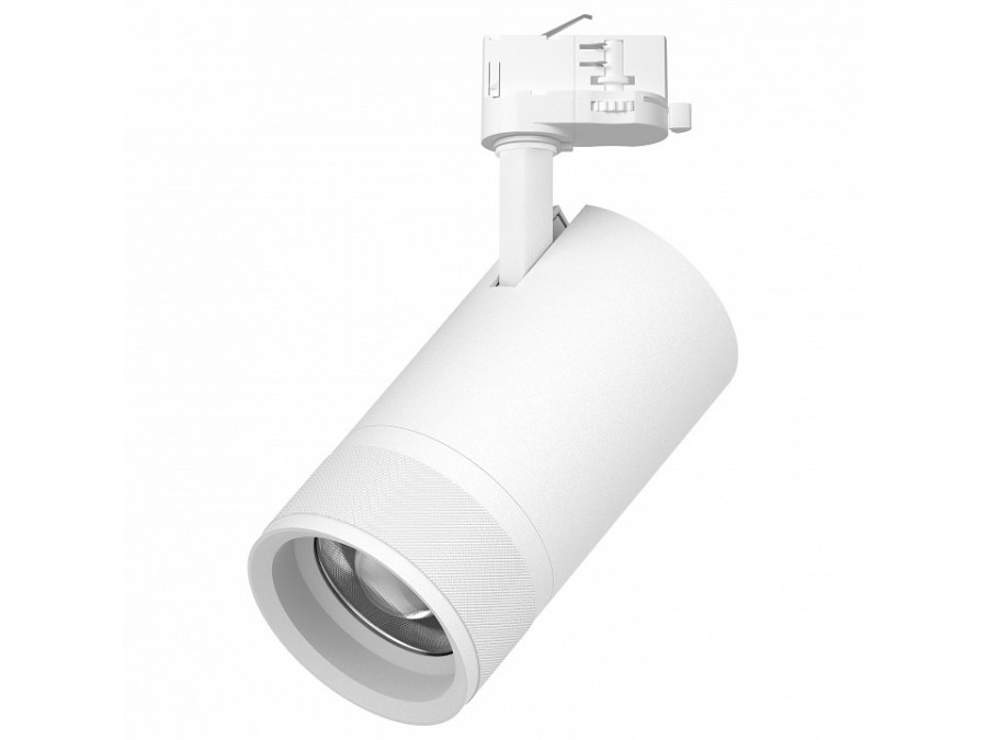 Светильник на штанге Lightstar Canno Pro C4406QT