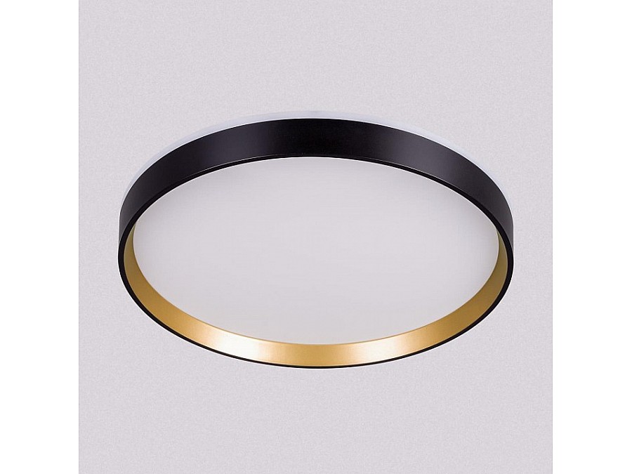 Накладной светильник Citilux ETALON CL750321R