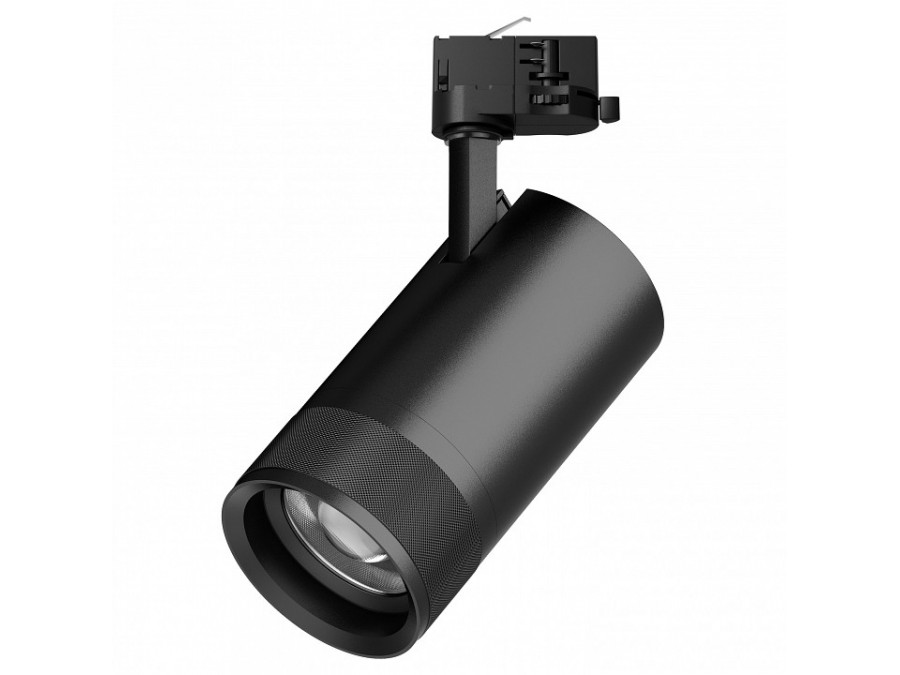 Светильник на штанге Lightstar Canno Pro C4407QT