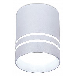 Накладной светильник Ambrella TN TN241