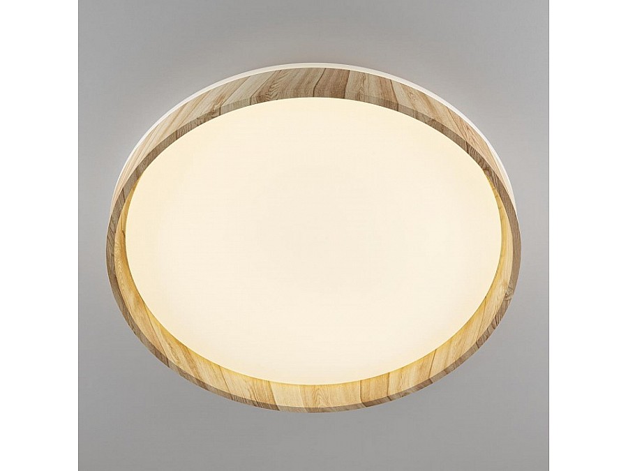Накладной светильник Citilux ENZO CL753452G