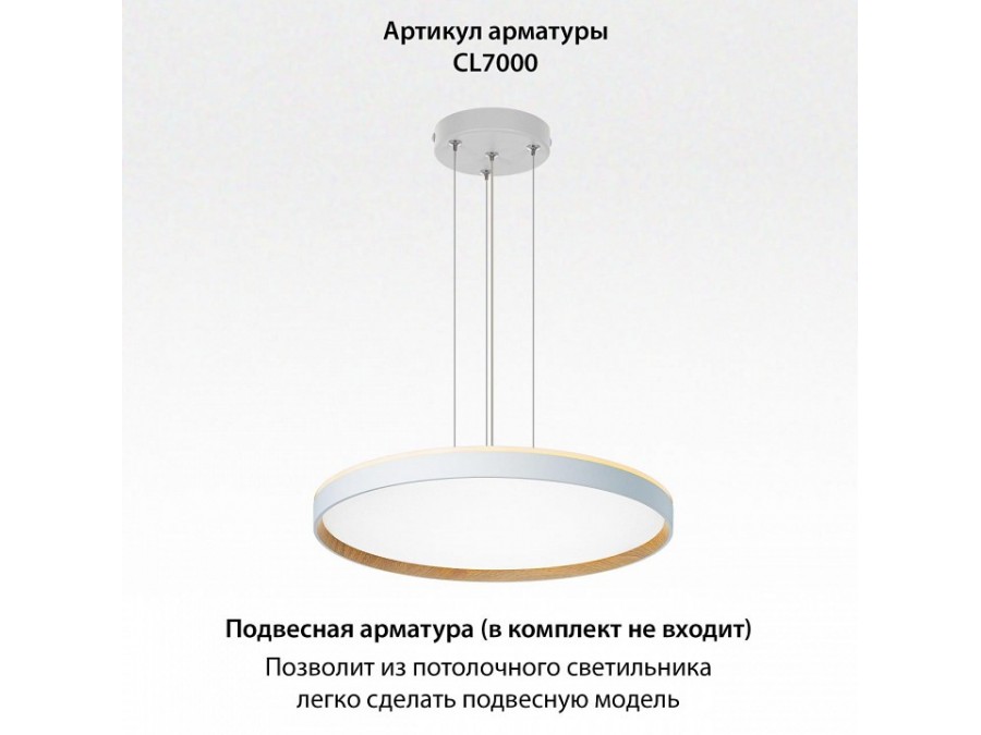 Накладной светильник Citilux ETALON CL750500R