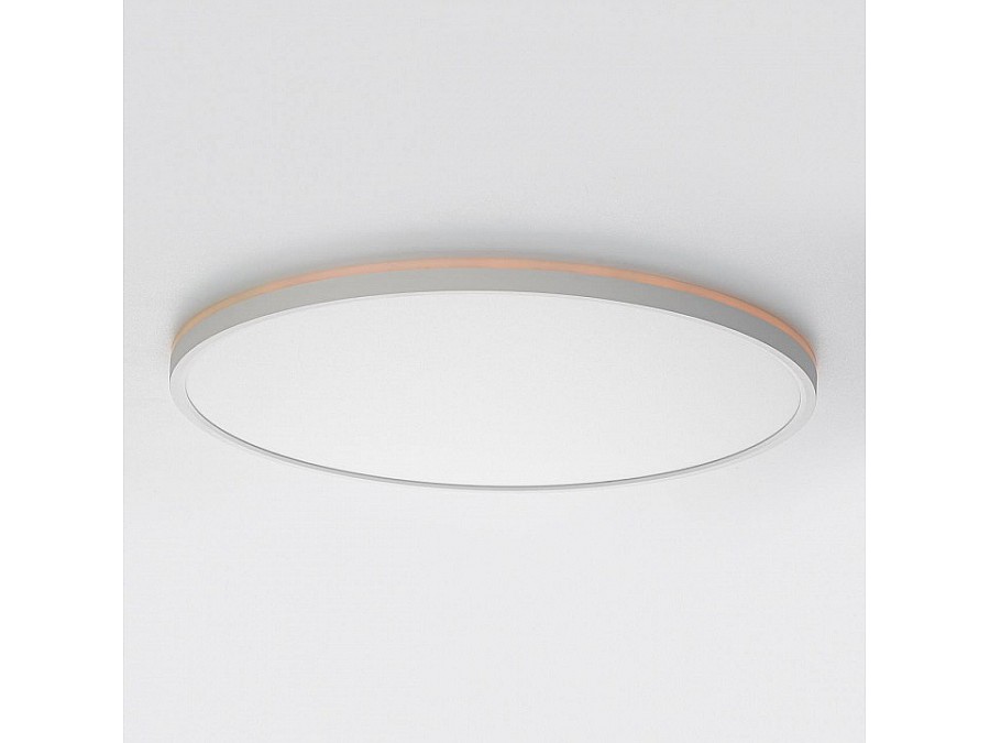 Накладной светильник Citilux NORMA CL749500