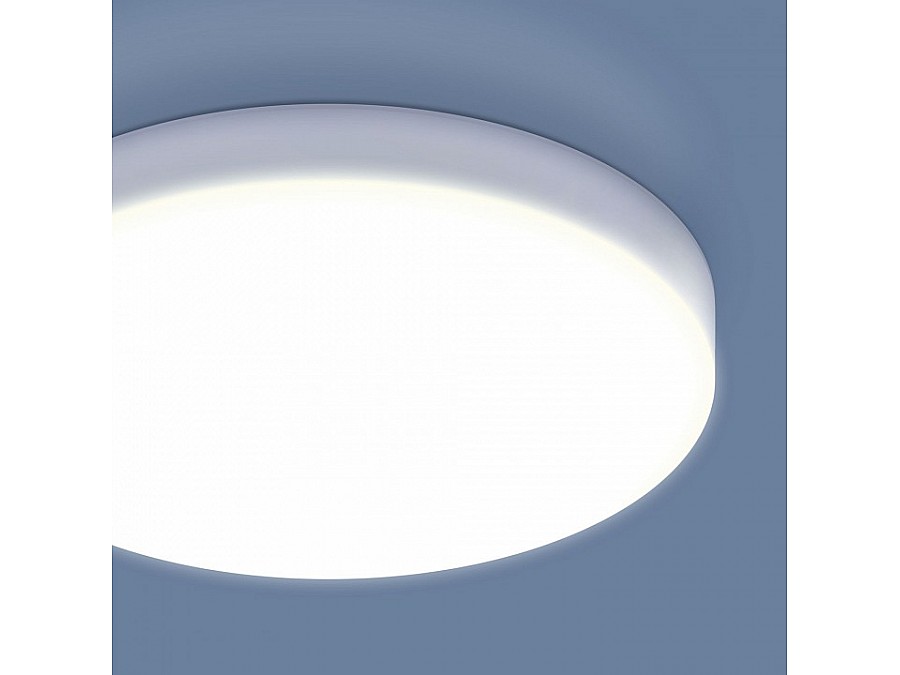 Накладной светильник Elektrostandard DLR043 a047940