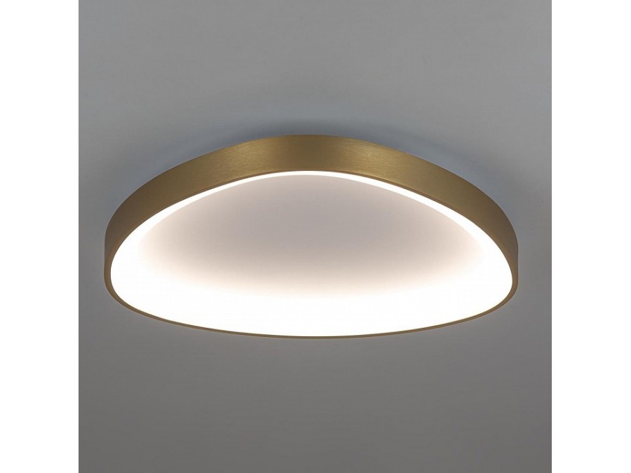 Накладной светильник Citilux GENKA SMART CL756A142