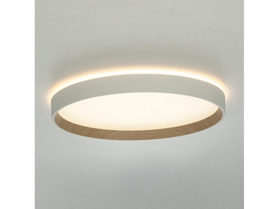 Накладной светильник Citilux ETALON CL750320R