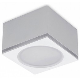 Накладной светильник Ambrella TN TN266