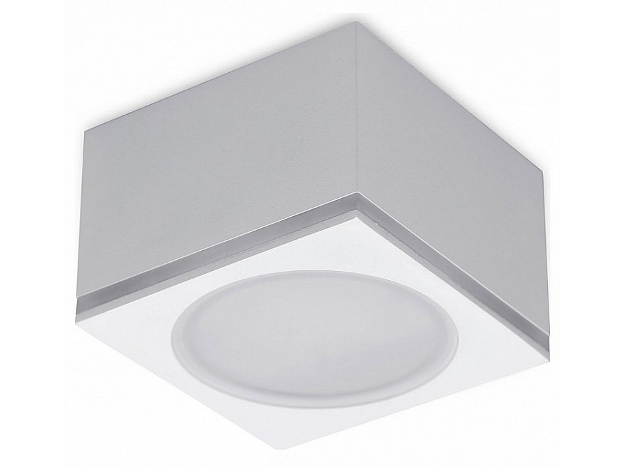 Накладной светильник Ambrella TN TN266