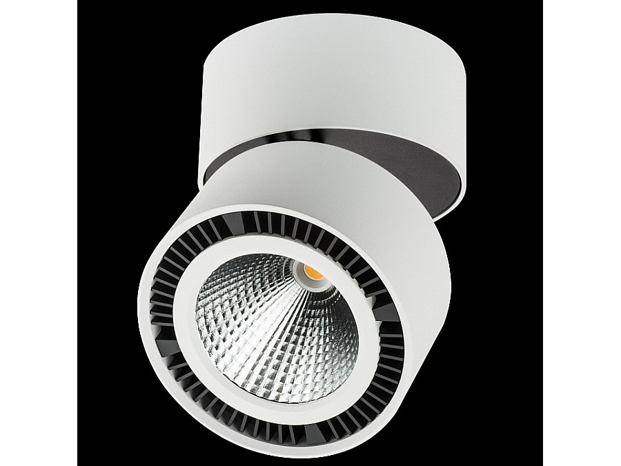 Светильник на штанге Lightstar Forte Muro LED 213830