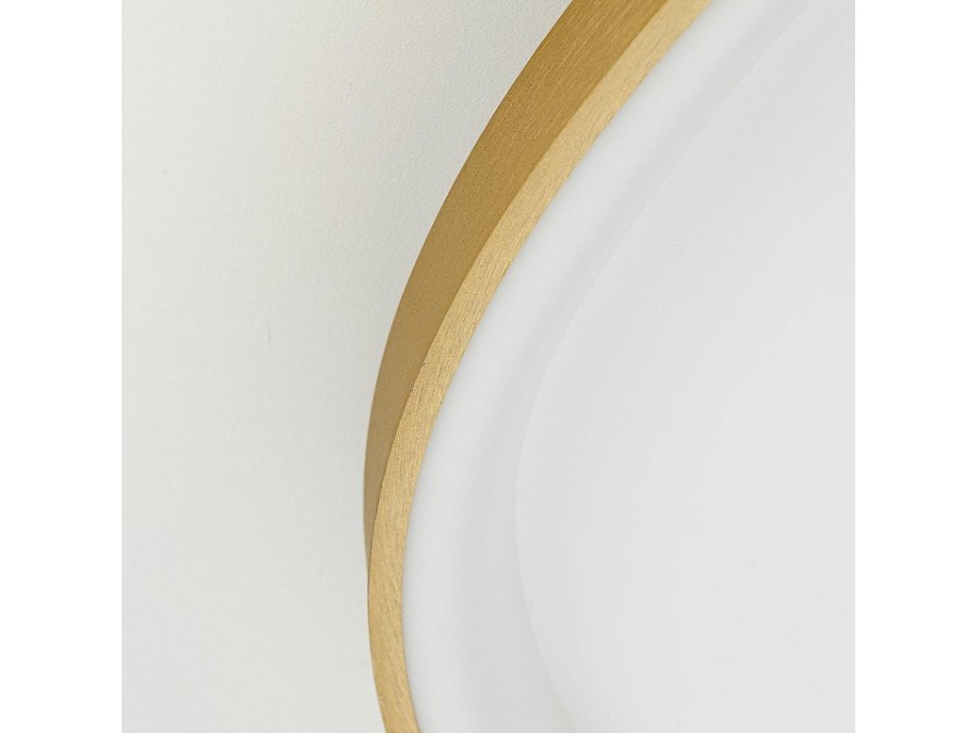 Накладной светильник Citilux GENKA SMART CL756A162