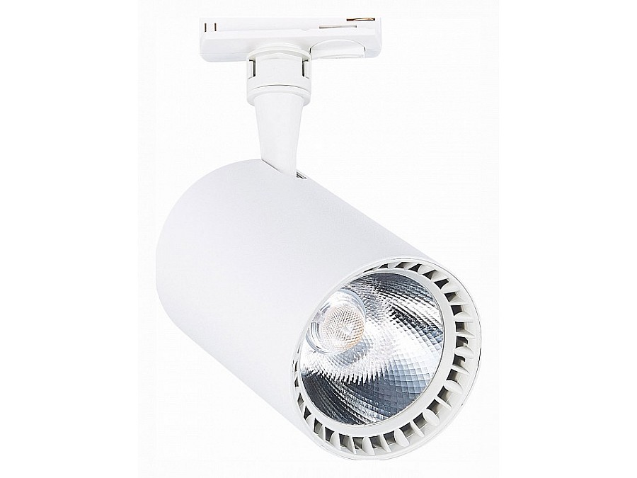 Светильник на штанге ST-Luce Cami ST351.536.30.24