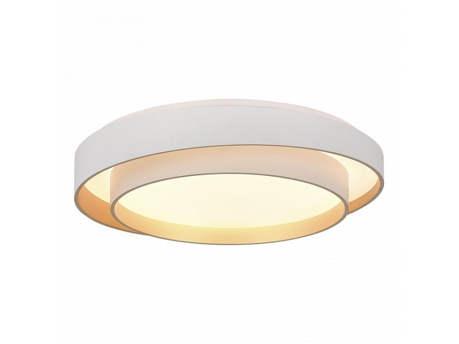 Накладной светильник EVOLUCE Crosby SLE6009-502-01