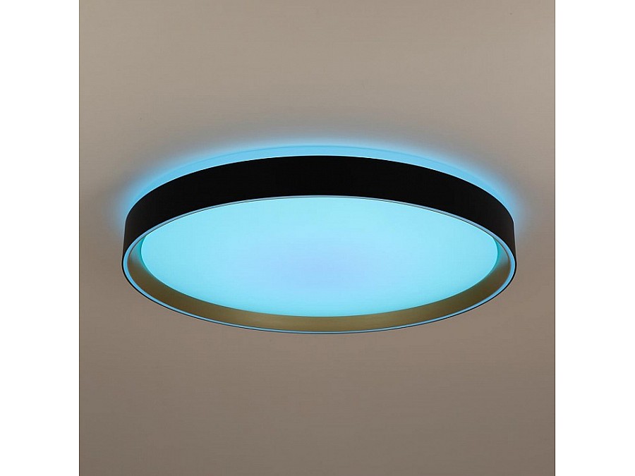 Накладной светильник Citilux BOSS CL751451G