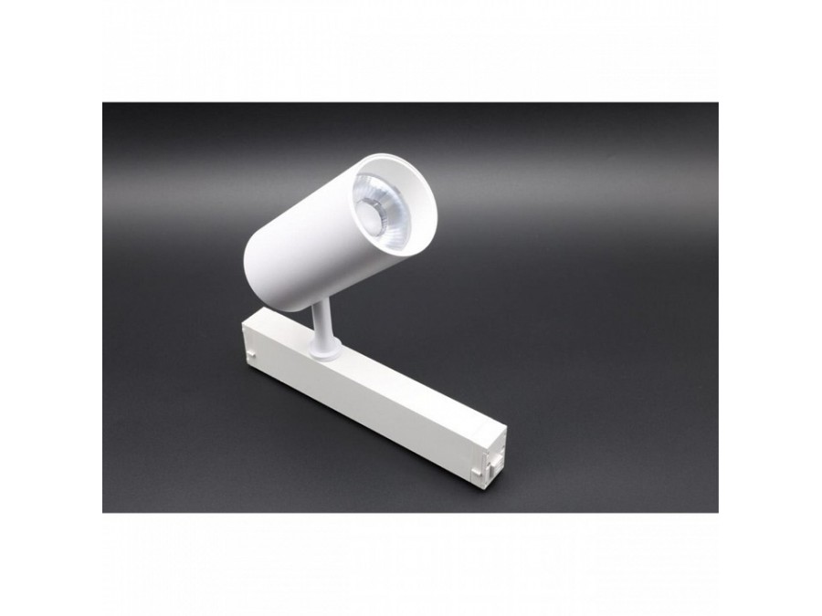 Светильник на штанге Aployt Magnetic track 220 APL.0205.10.20