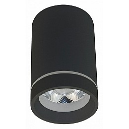 Накладной светильник Aployt Edda APL.0054.19.10