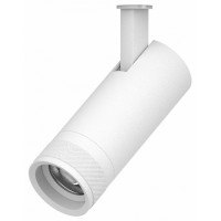 Светильник на штанге Lightstar Canno Pro 304126